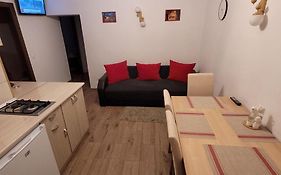 Apartament Miruna Sibiu Filarmonicii